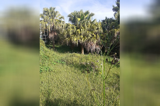 achat terrain st-joseph 97480
