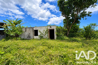 achat terrain st-joseph 97480