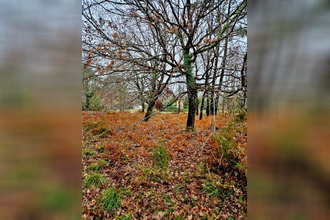 achat terrain st-julien-en-born 40170