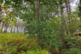 achat terrain st-julien-en-born 40170