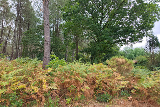 achat terrain st-julien-en-born 40170