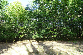 achat terrain st-laurent-des-hommes 24400