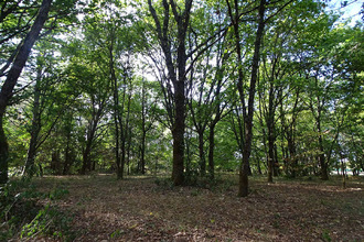 achat terrain st-laurent-des-hommes 24400