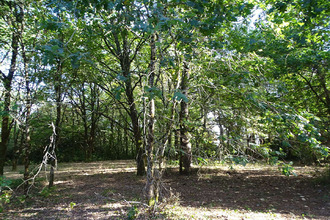 achat terrain st-laurent-des-hommes 24400