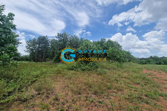 achat terrain st-laurent-du-maroni 97320