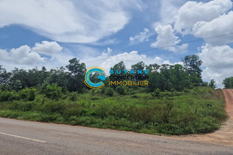achat terrain st-laurent-du-maroni 97320