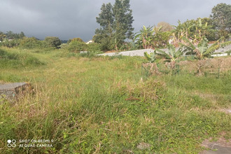 achat terrain st-leu 97424
