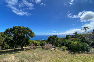 achat terrain st-leu 97436