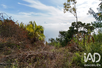 achat terrain st-leu 97436