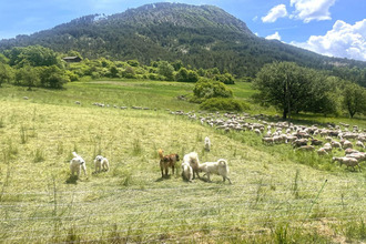 achat terrain st-lions 04330