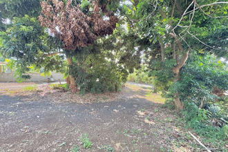 achat terrain st-louis 97421