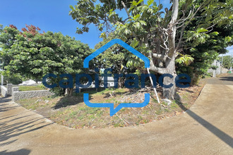 achat terrain st-louis 97421