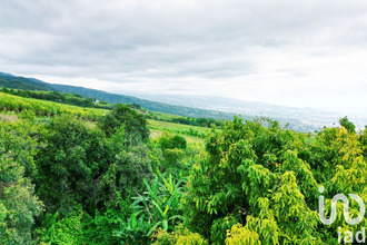 achat terrain st-louis 97450