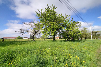 achat terrain st-marcel 71380