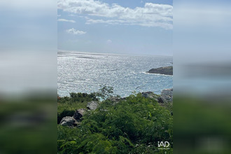 achat terrain st-martin 97150