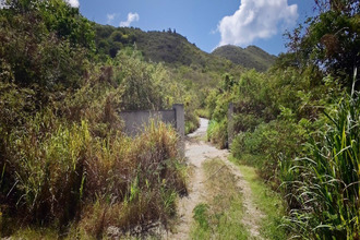 achat terrain st-martin 97150