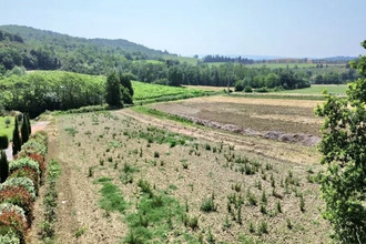 achat terrain st-martin-de-villereglan 11300