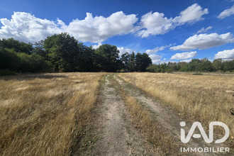 achat terrain st-maurice-sur-fessard 45700