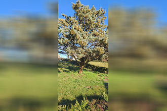 achat terrain st-maxire 79410