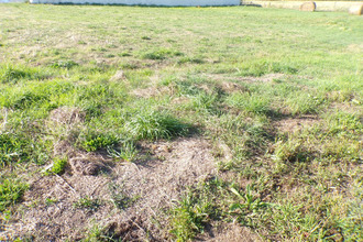 achat terrain st-michel-chef-chef 44730