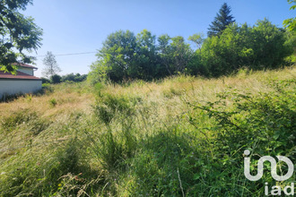 achat terrain st-pal-de-mons 43620