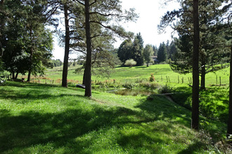 achat terrain st-pal-de-mons 43620