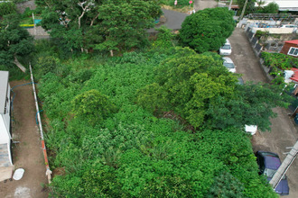 achat terrain st-paul 97460