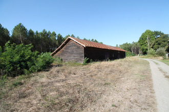 achat terrain st-paul-en-born 40200