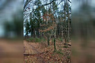 achat terrain st-pere-sur-loire 45600