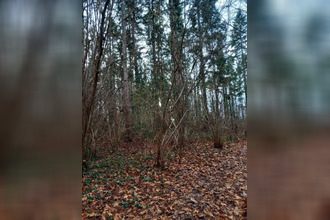 achat terrain st-pere-sur-loire 45600