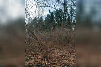 achat terrain st-pere-sur-loire 45600