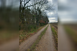 achat terrain st-pere-sur-loire 45600