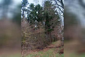 achat terrain st-pere-sur-loire 45600