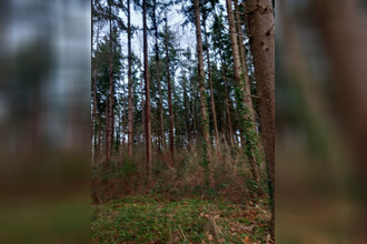 achat terrain st-pere-sur-loire 45600