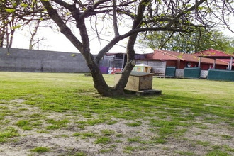 achat terrain st-philbert-de-grand-lieu 44310