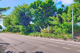 achat terrain st-pierre 97250