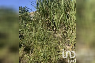 achat terrain st-pierre 97410