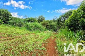 achat terrain st-pierre 97410