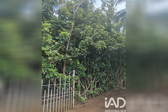 achat terrain st-pierre 97410