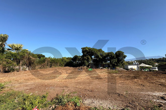 achat terrain st-pierre 97410