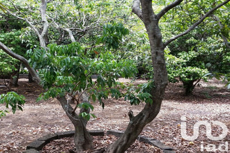 achat terrain st-pierre 97432