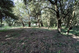 achat terrain st-pierre-d-oleron 17310