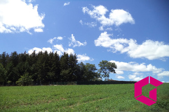 achat terrain st-pierre-eynac 43260