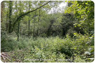 achat terrain st-romain-et-st-clement 24800