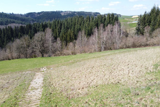 achat terrain st-romain-les-atheux 42660