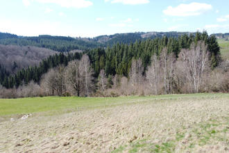 achat terrain st-romain-les-atheux 42660