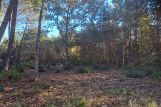 achat terrain st-sauveur 33250