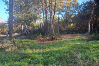 achat terrain st-sauveur 33250