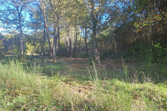 achat terrain st-sauveur 33250