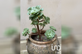 achat terrain st-sigismond 74300